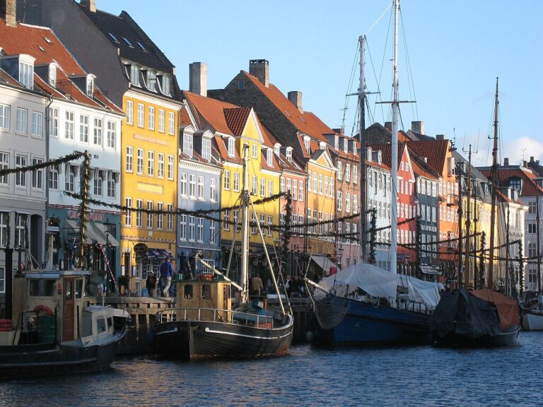 Bactolife Back To Reality